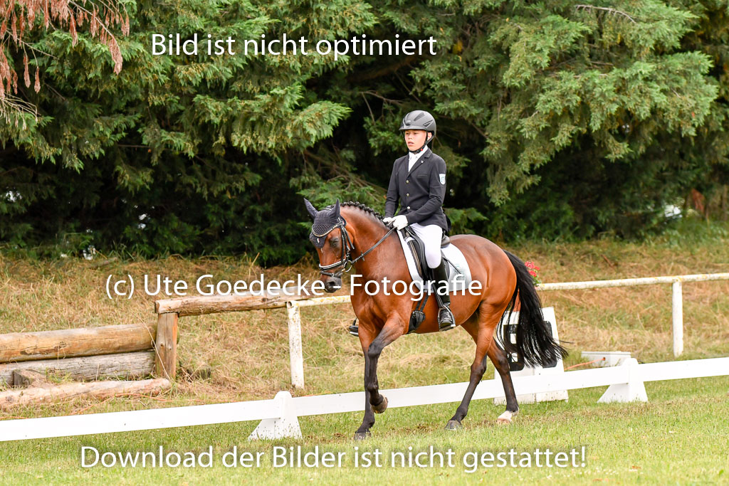 Goldene Schärpe Ponys in Hohenberg Krusemark 2024 | 12072024 Dressur _0427