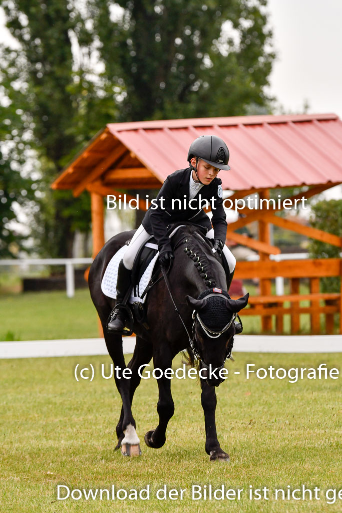 Goldene Schärpe Ponys in Hohenberg Krusemark 2024 | 12072024 Dressur _0430 