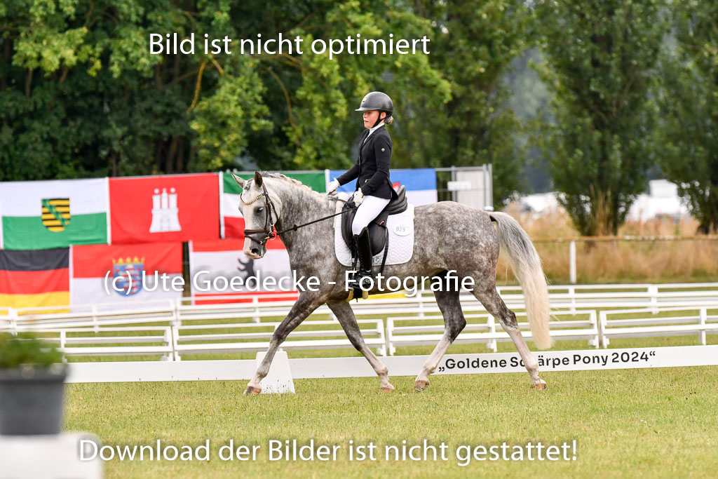 Goldene Schärpe Ponys in Hohenberg Krusemark 2024 | 12072024 Dressur _0434