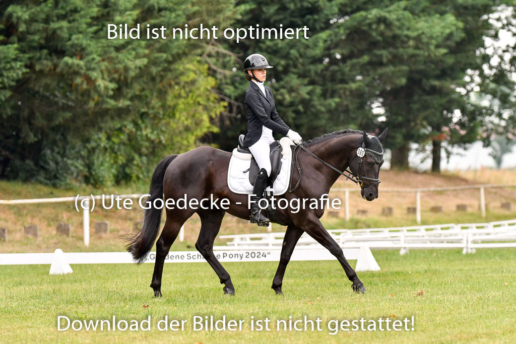 Goldene Schärpe Ponys in Hohenberg Krusemark 2024 | 12072024 Dressur _0435 