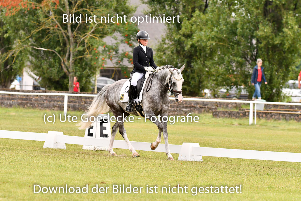 Goldene Schärpe Ponys in Hohenberg Krusemark 2024 | 12072024 Dressur _0438 