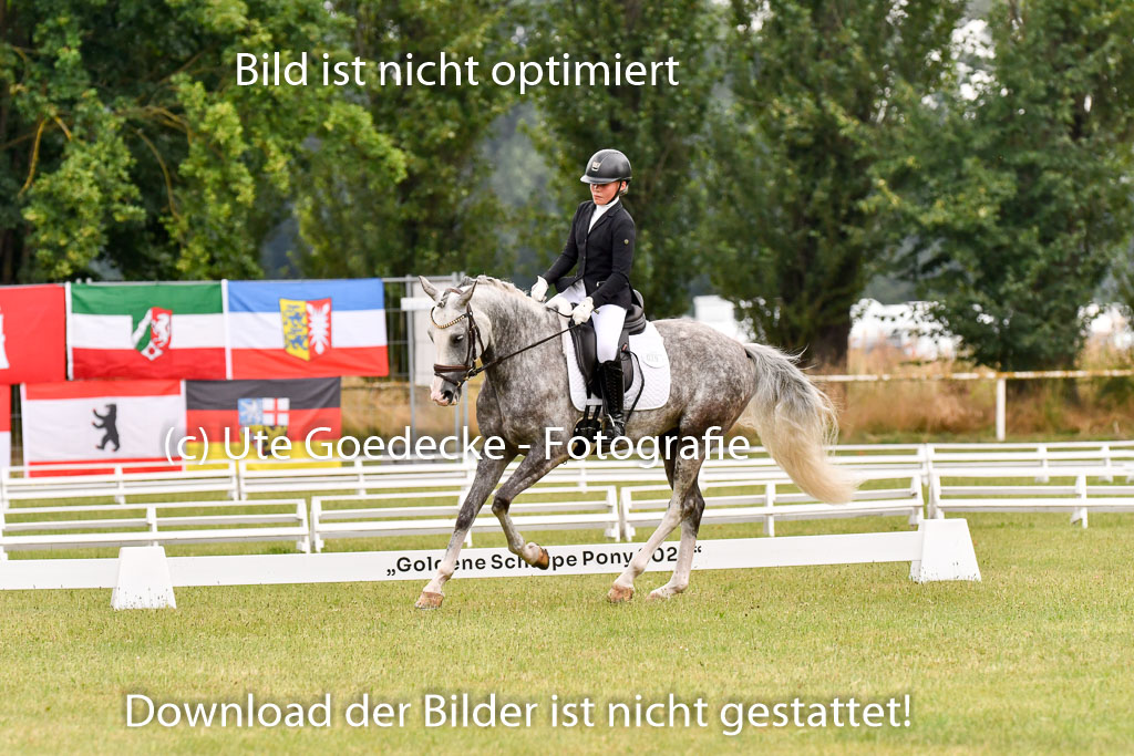 Goldene Schärpe Ponys in Hohenberg Krusemark 2024 | 12072024 Dressur _0440