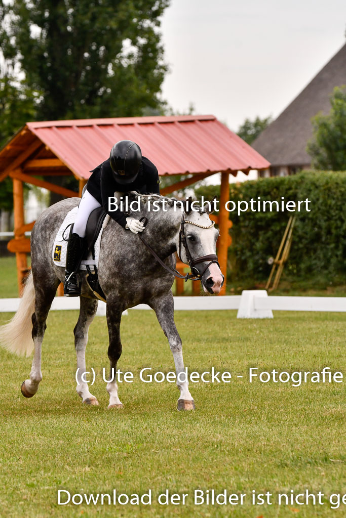 Goldene Schärpe Ponys in Hohenberg Krusemark 2024 | 12072024 Dressur _0442