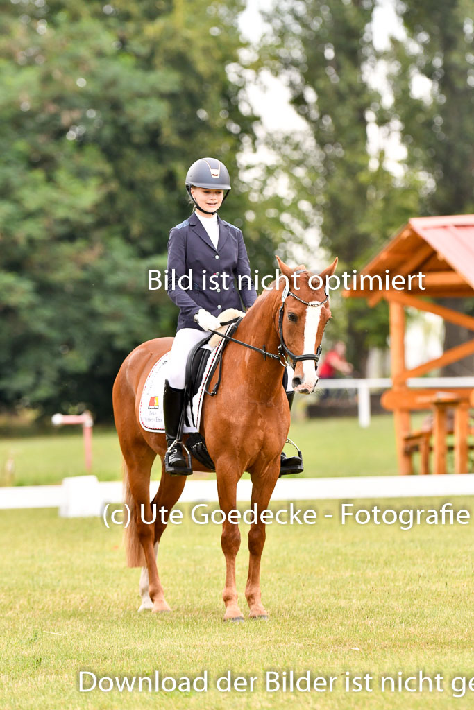 Goldene Schärpe Ponys in Hohenberg Krusemark 2024 | 12072024 Dressur _0445