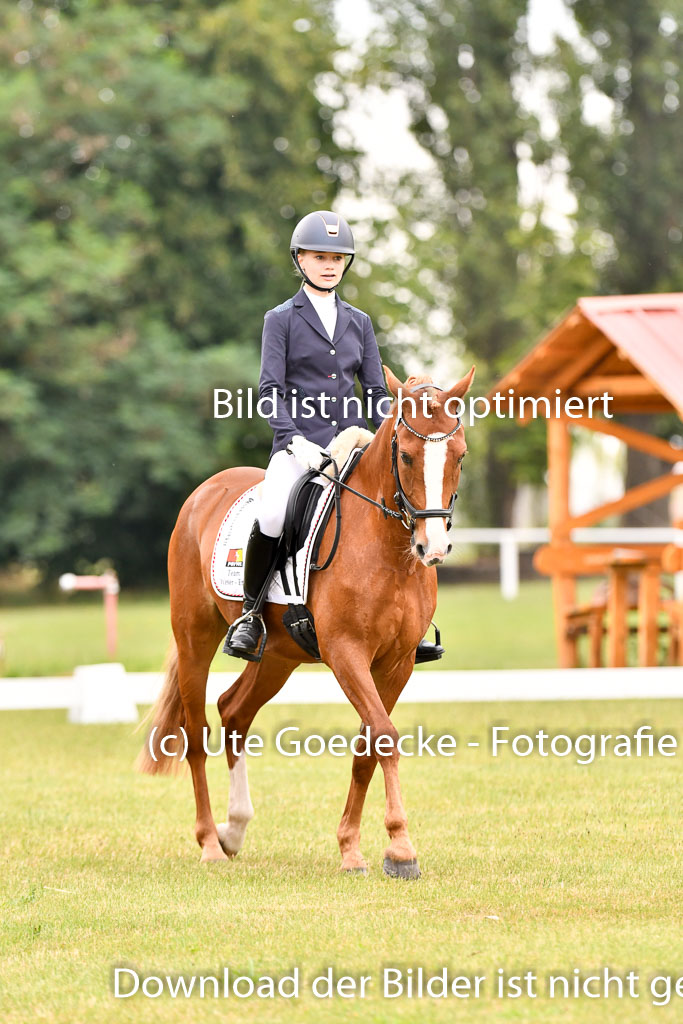 Goldene Schärpe Ponys in Hohenberg Krusemark 2024 | 12072024 Dressur _0446 