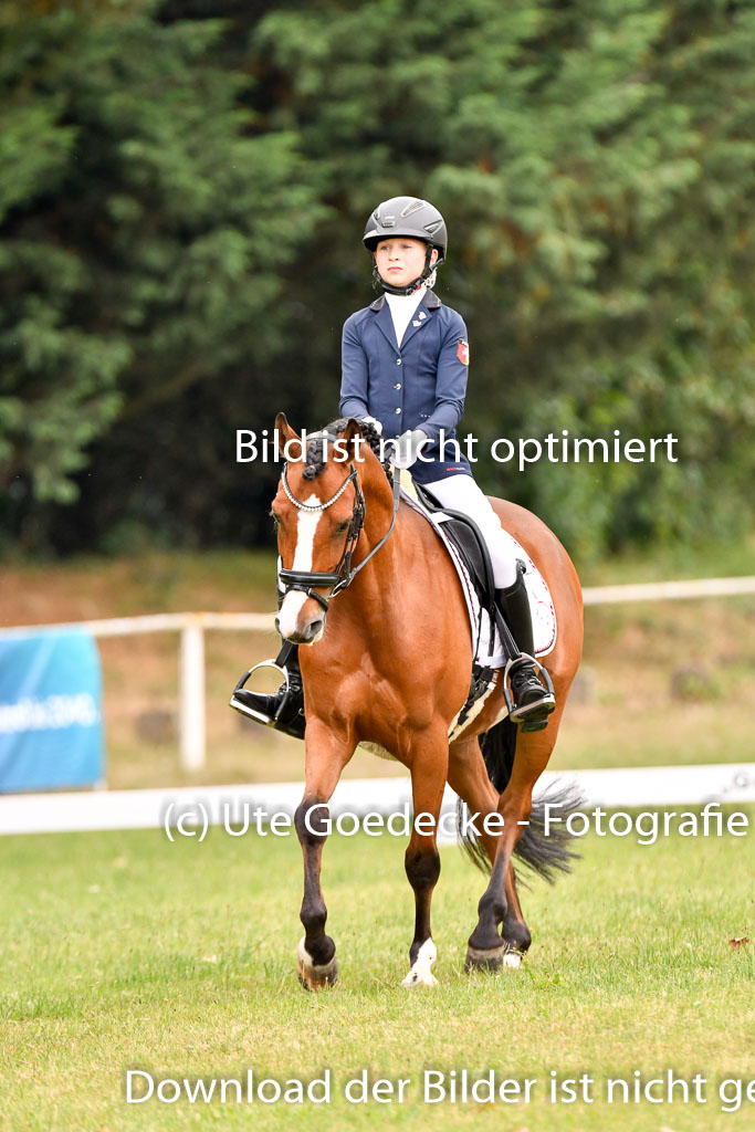 Goldene Schärpe Ponys in Hohenberg Krusemark 2024 | 12072024 Dressur _0447