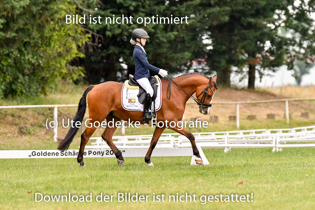Goldene Schärpe Ponys in Hohenberg Krusemark 2024 | 12072024 Dressur _0448