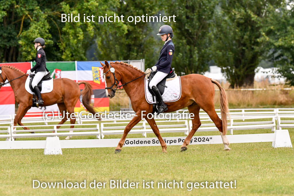 Goldene Schärpe Ponys in Hohenberg Krusemark 2024 | 12072024 Dressur _0450