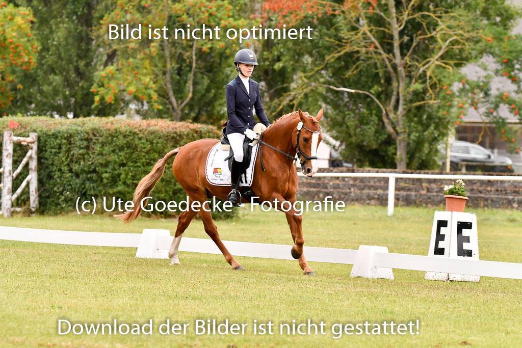 Goldene Schärpe Ponys in Hohenberg Krusemark 2024 | 12072024 Dressur _0454