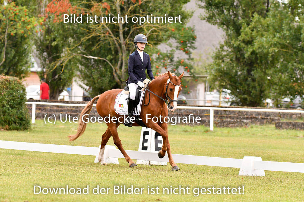 Goldene Schärpe Ponys in Hohenberg Krusemark 2024 | 12072024 Dressur _0455