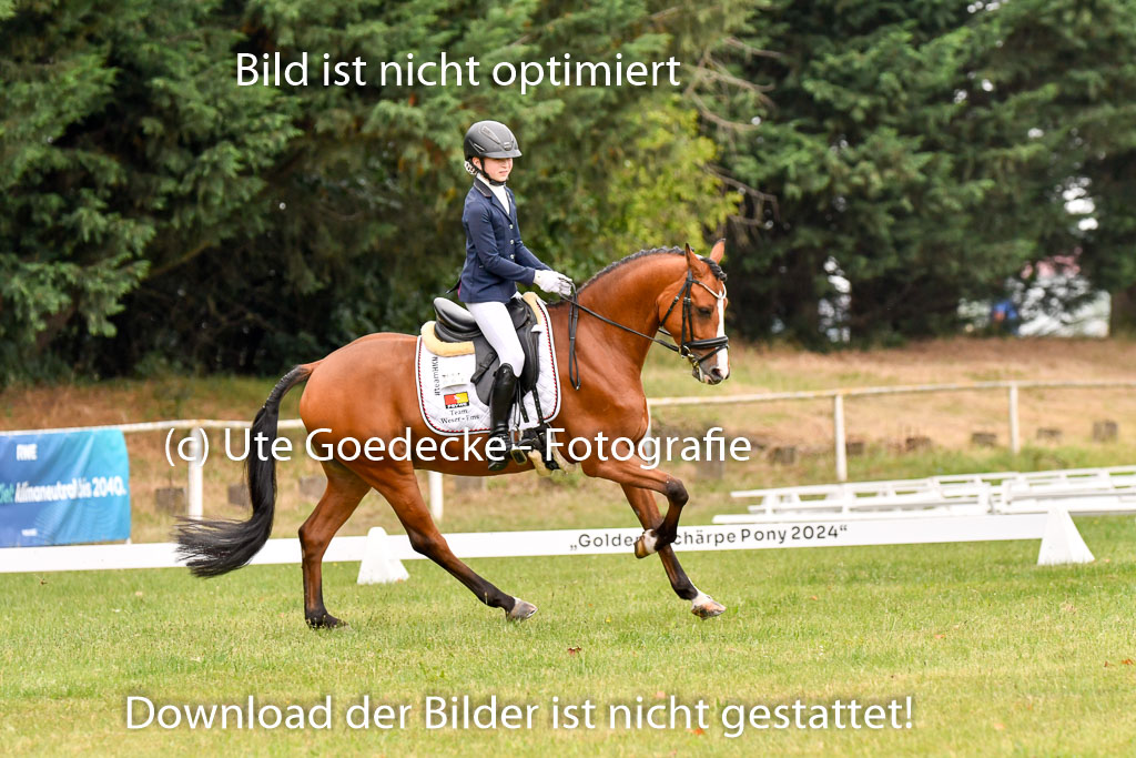 Goldene Schärpe Ponys in Hohenberg Krusemark 2024 | 12072024 Dressur _0457