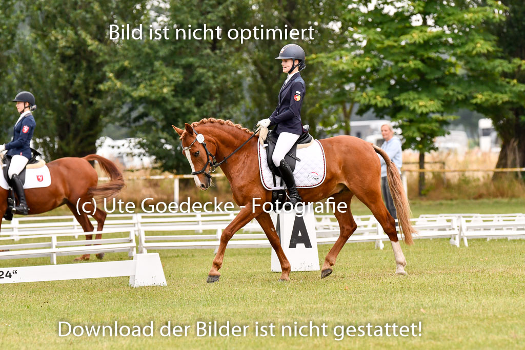 Goldene Schärpe Ponys in Hohenberg Krusemark 2024 | 12072024 Dressur _0458 