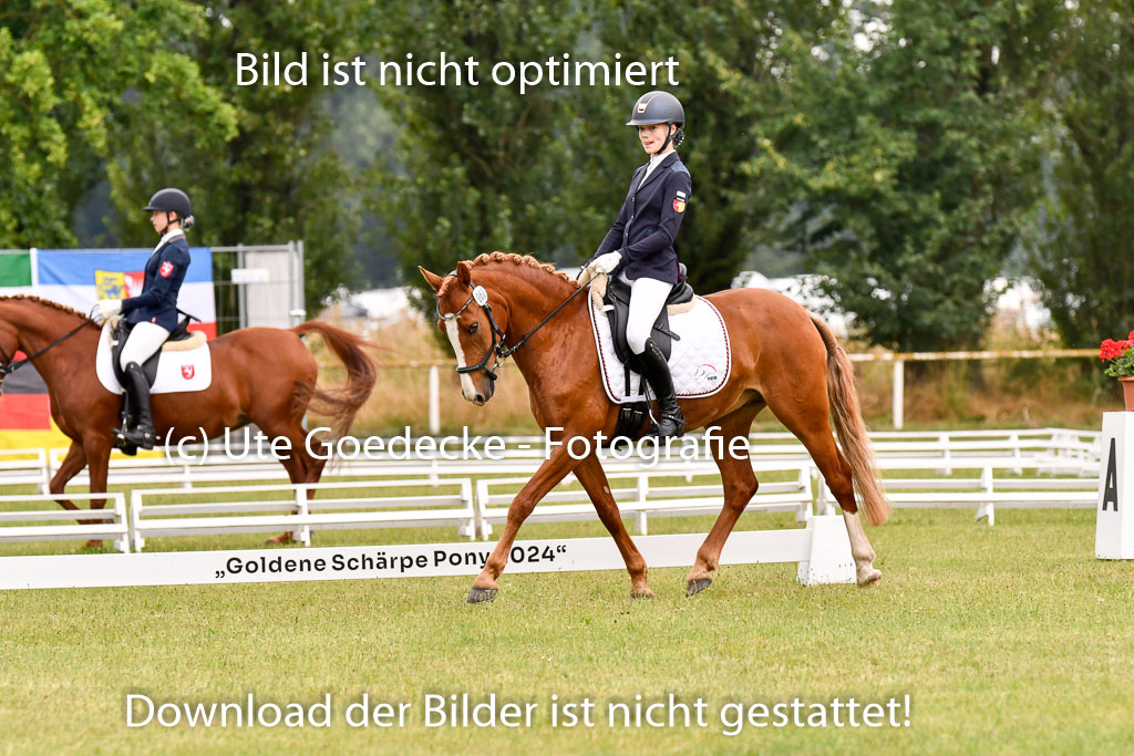 Goldene Schärpe Ponys in Hohenberg Krusemark 2024 | 12072024 Dressur _0459 