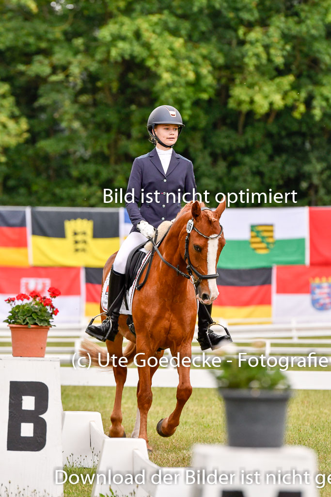 Goldene Schärpe Ponys in Hohenberg Krusemark 2024 | 12072024 Dressur _0460