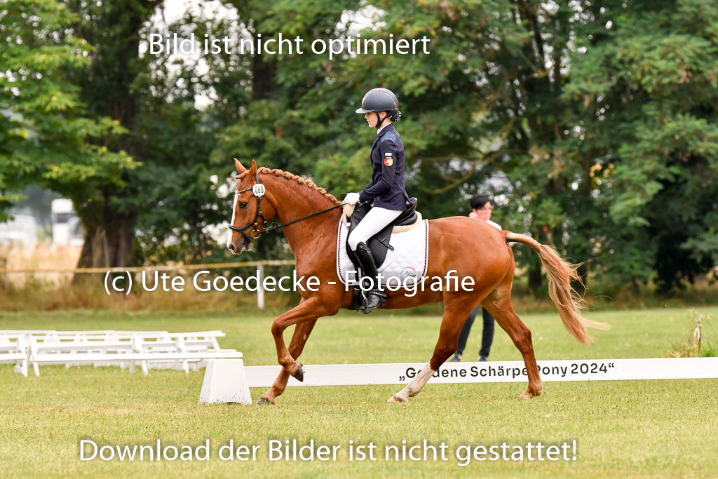 Goldene Schärpe Ponys in Hohenberg Krusemark 2024 | 12072024 Dressur _0461