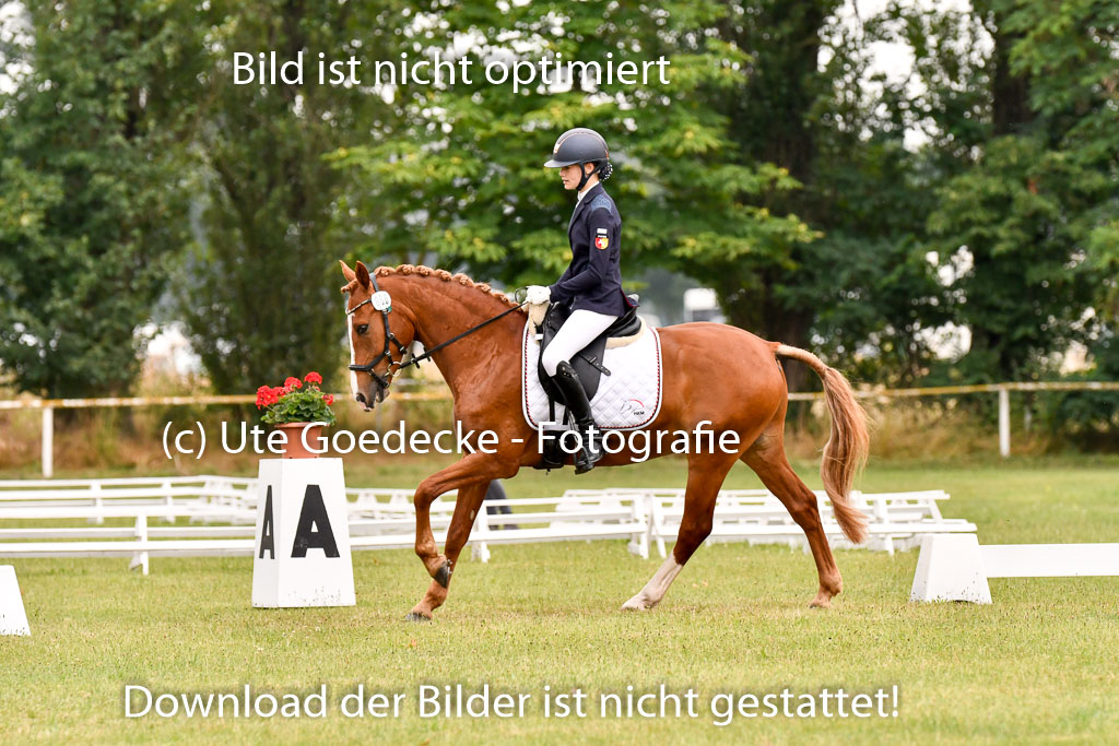 Goldene Schärpe Ponys in Hohenberg Krusemark 2024 | 12072024 Dressur _0462 