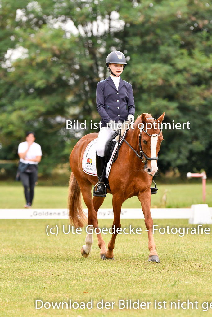 Goldene Schärpe Ponys in Hohenberg Krusemark 2024 | 12072024 Dressur _0466 