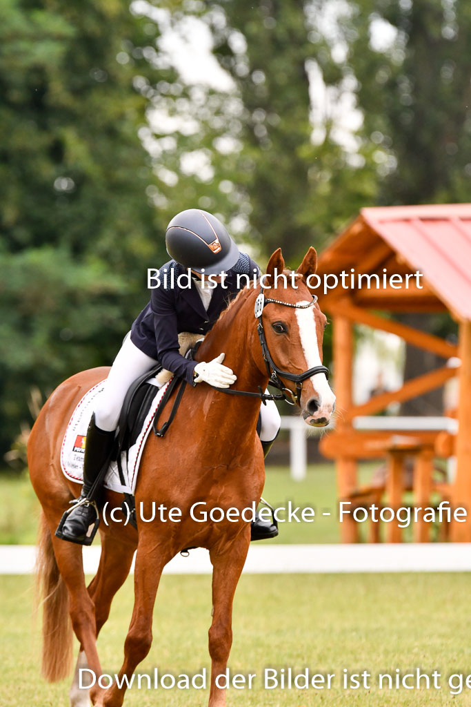 Goldene Schärpe Ponys in Hohenberg Krusemark 2024 | 12072024 Dressur _0468