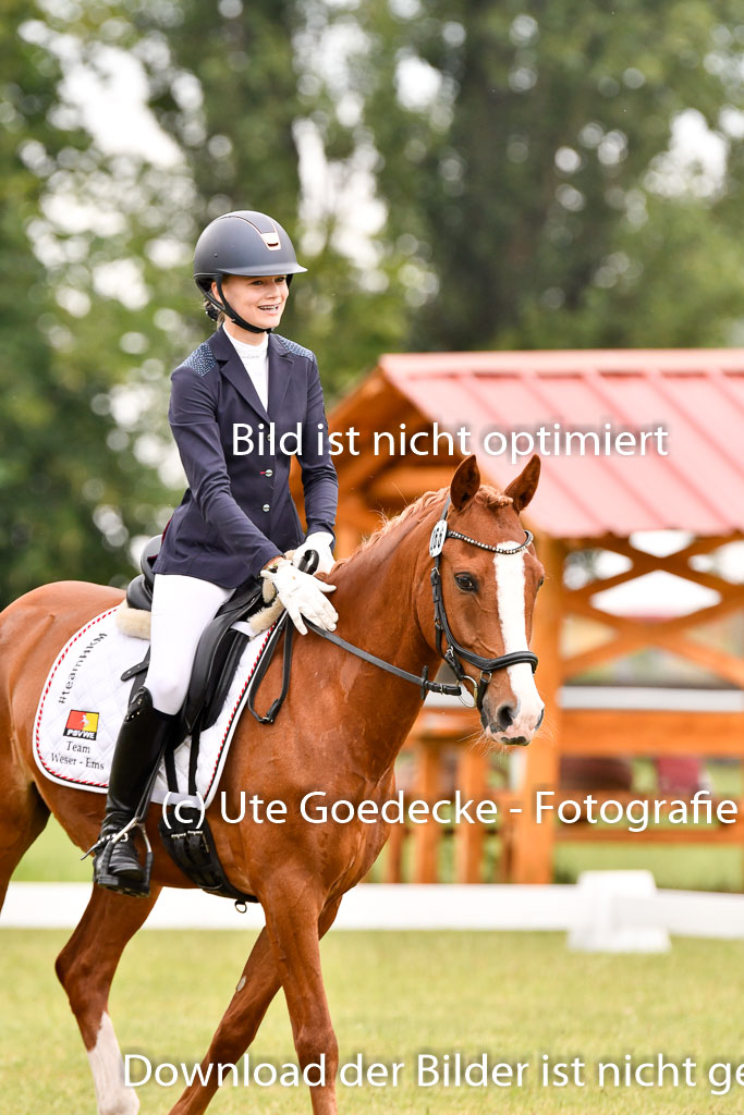 Goldene Schärpe Ponys in Hohenberg Krusemark 2024 | 12072024 Dressur _0469 