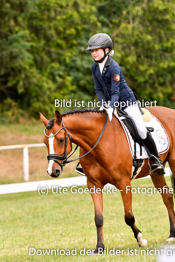 Goldene Schärpe Ponys in Hohenberg Krusemark 2024 | 12072024 Dressur _0473 