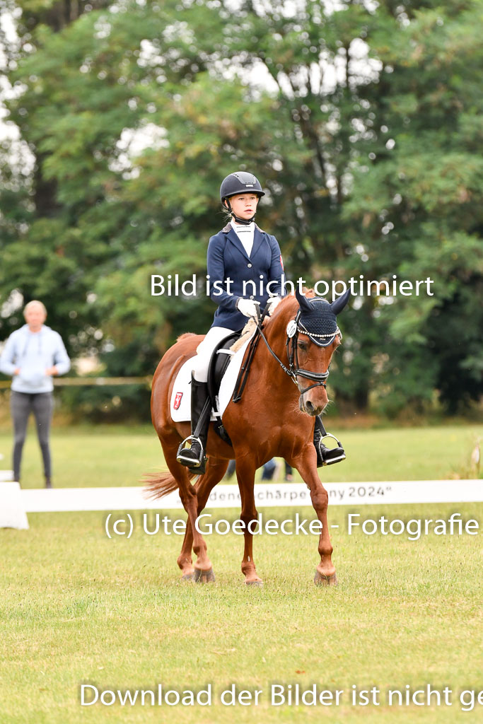 Goldene Schärpe Ponys in Hohenberg Krusemark 2024 | 12072024 Dressur _0475