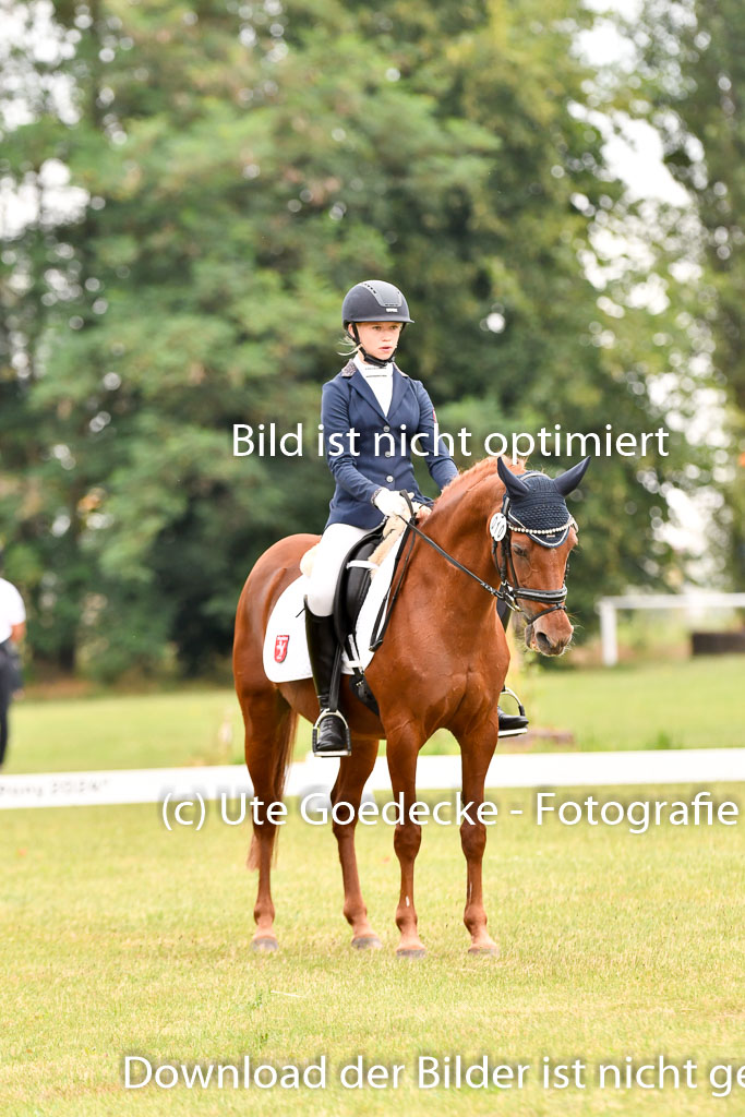 Goldene Schärpe Ponys in Hohenberg Krusemark 2024 | 12072024 Dressur _0476