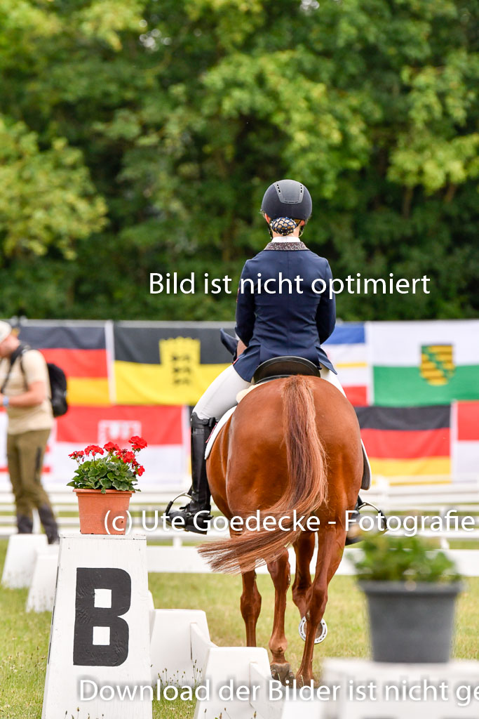 Goldene Schärpe Ponys in Hohenberg Krusemark 2024 | 12072024 Dressur _0479 