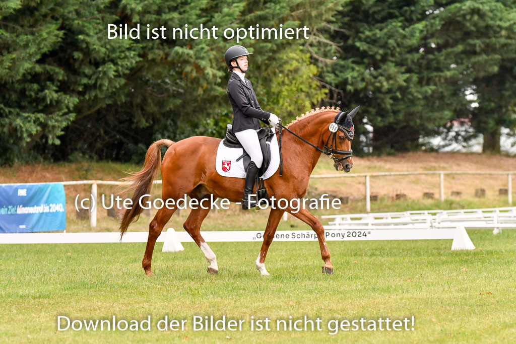 Goldene Schärpe Ponys in Hohenberg Krusemark 2024 | 12072024 Dressur _0480