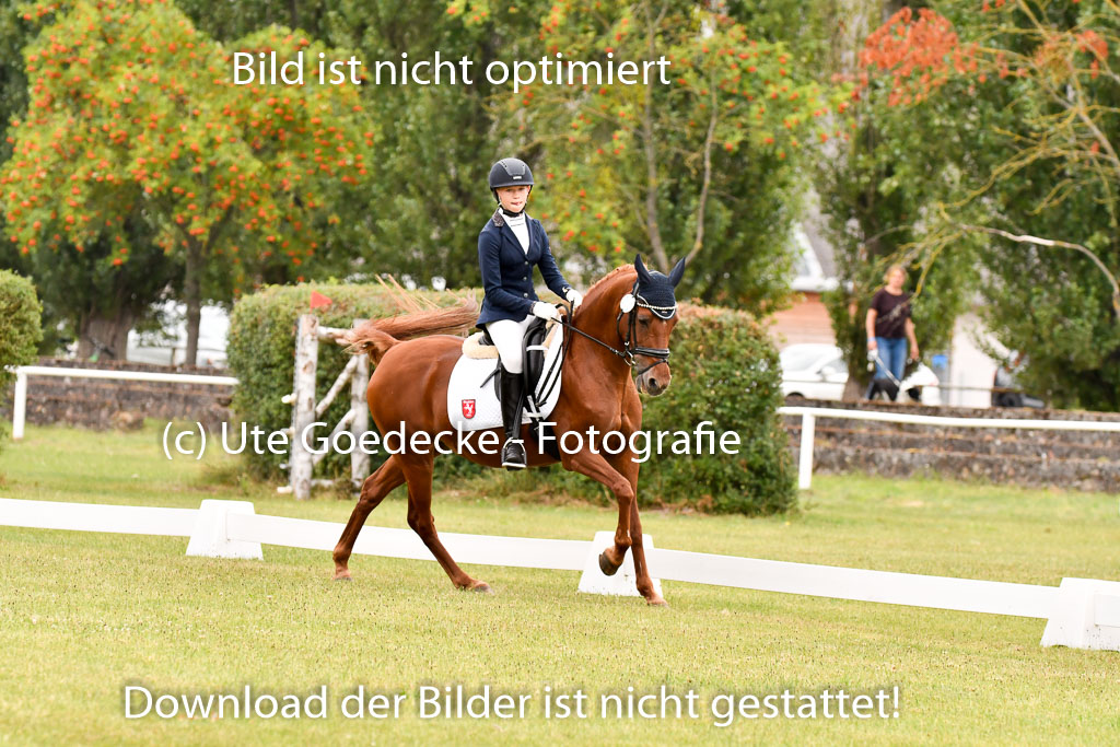 Goldene Schärpe Ponys in Hohenberg Krusemark 2024 | 12072024 Dressur _0481