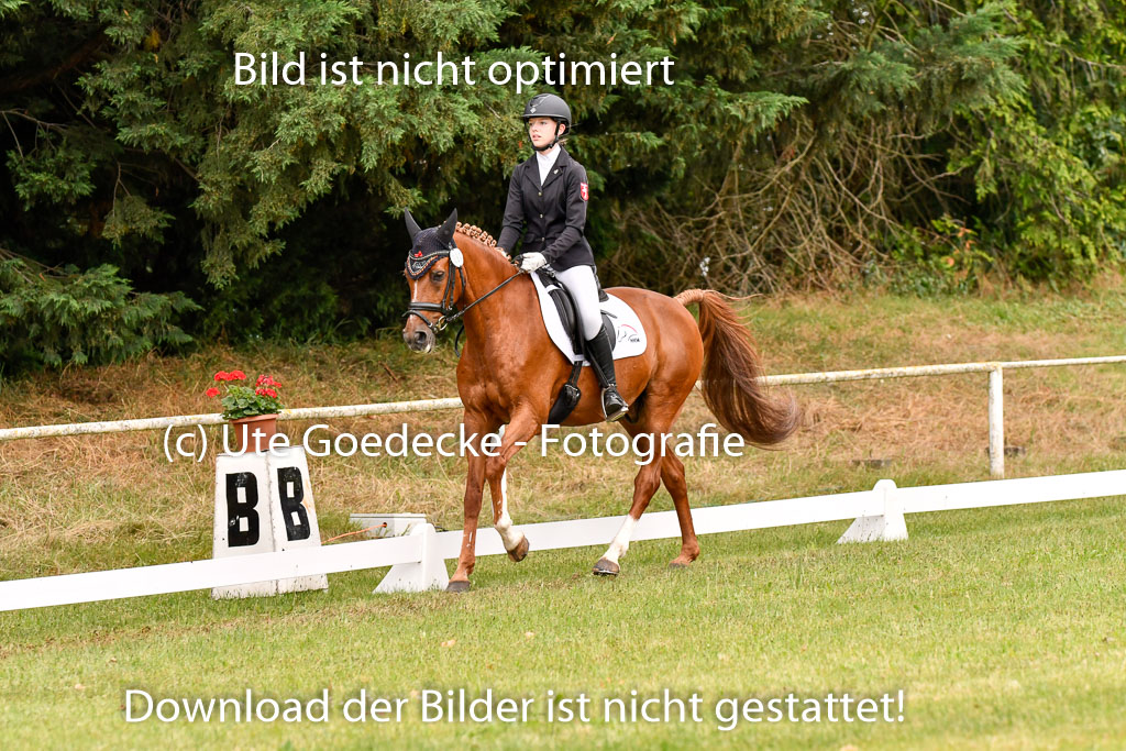 Goldene Schärpe Ponys in Hohenberg Krusemark 2024 | 12072024 Dressur _0483 