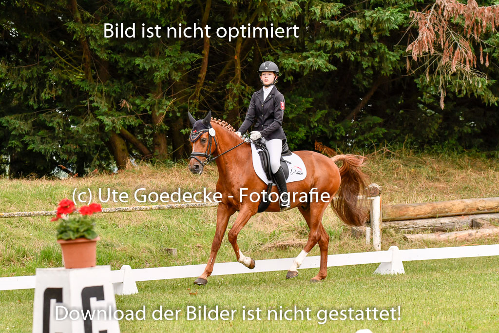 Goldene Schärpe Ponys in Hohenberg Krusemark 2024 | 12072024 Dressur _0486 