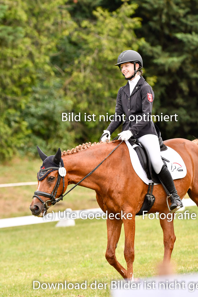 Goldene Schärpe Ponys in Hohenberg Krusemark 2024 | 12072024 Dressur _0488 