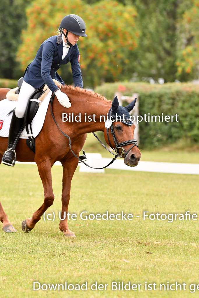 Goldene Schärpe Ponys in Hohenberg Krusemark 2024 | 12072024 Dressur _0490