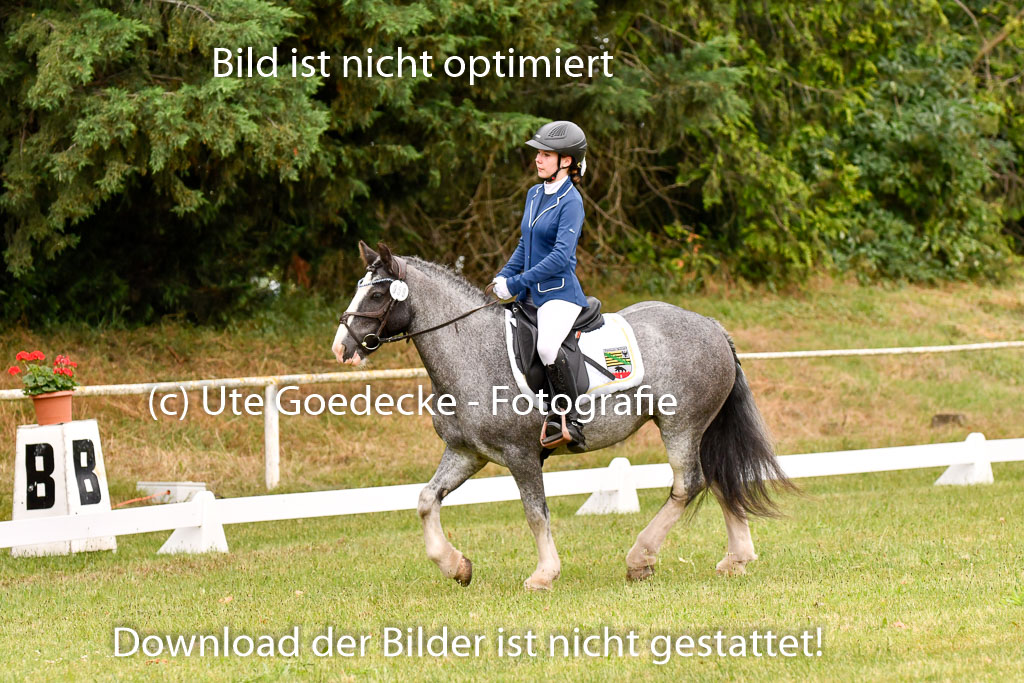 Goldene Schärpe Ponys in Hohenberg Krusemark 2024 | 12072024 Dressur _0492