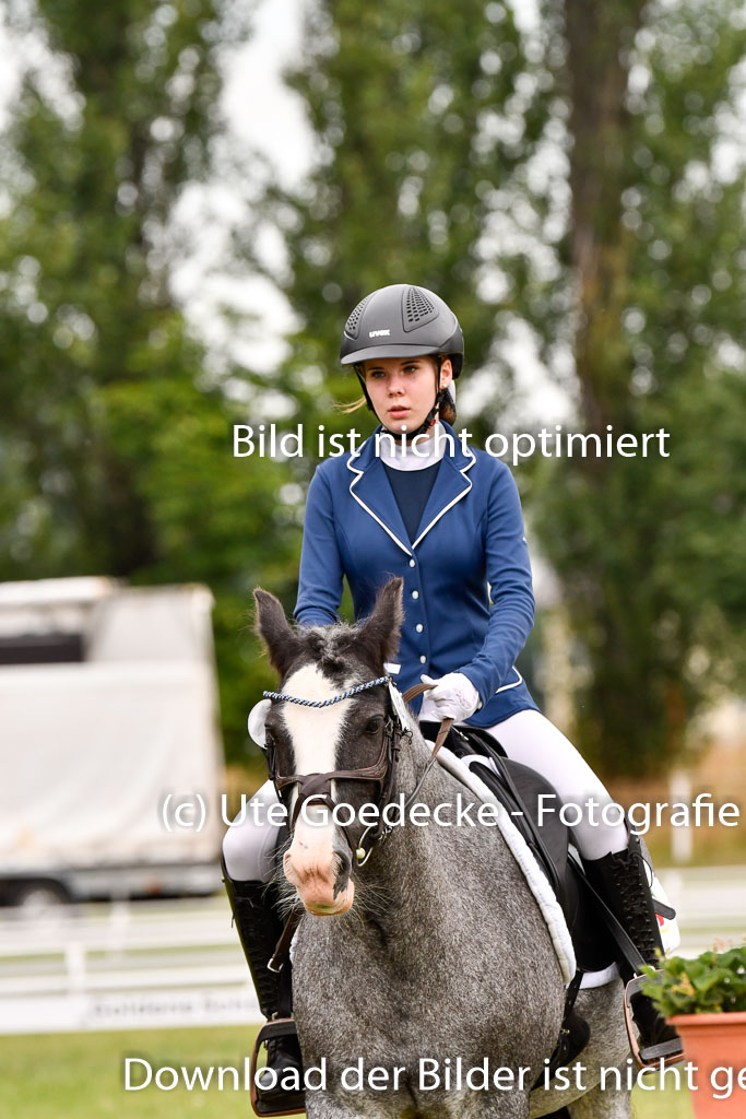 Goldene Schärpe Ponys in Hohenberg Krusemark 2024 | 12072024 Dressur _0494