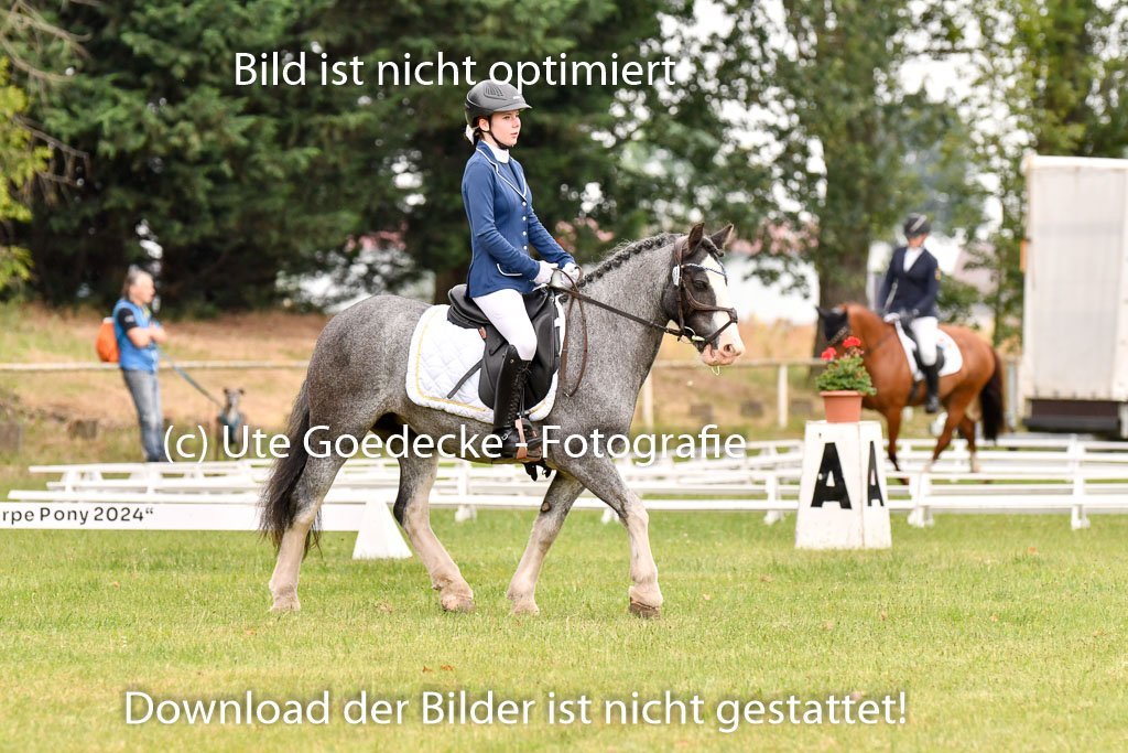 Goldene Schärpe Ponys in Hohenberg Krusemark 2024 | 12072024 Dressur _0496