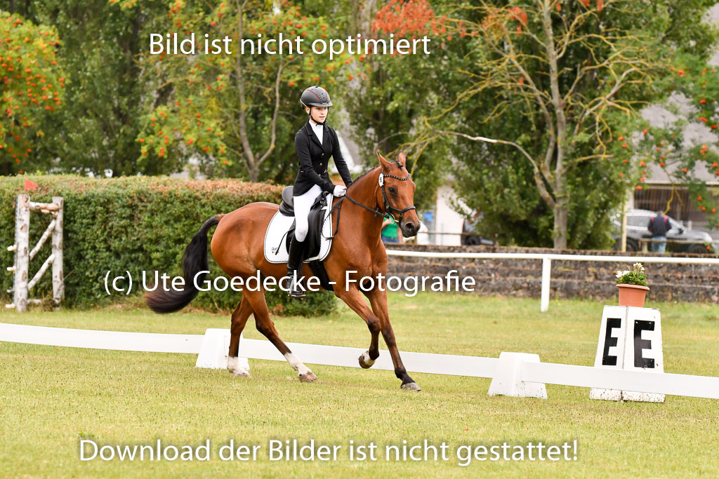 Goldene Schärpe Ponys in Hohenberg Krusemark 2024 | 12072024 Dressur _0497 