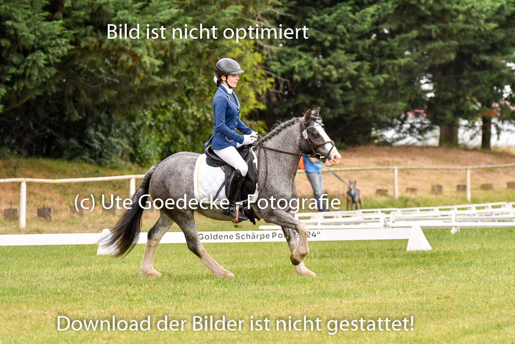 Goldene Schärpe Ponys in Hohenberg Krusemark 2024 | 12072024 Dressur _0498