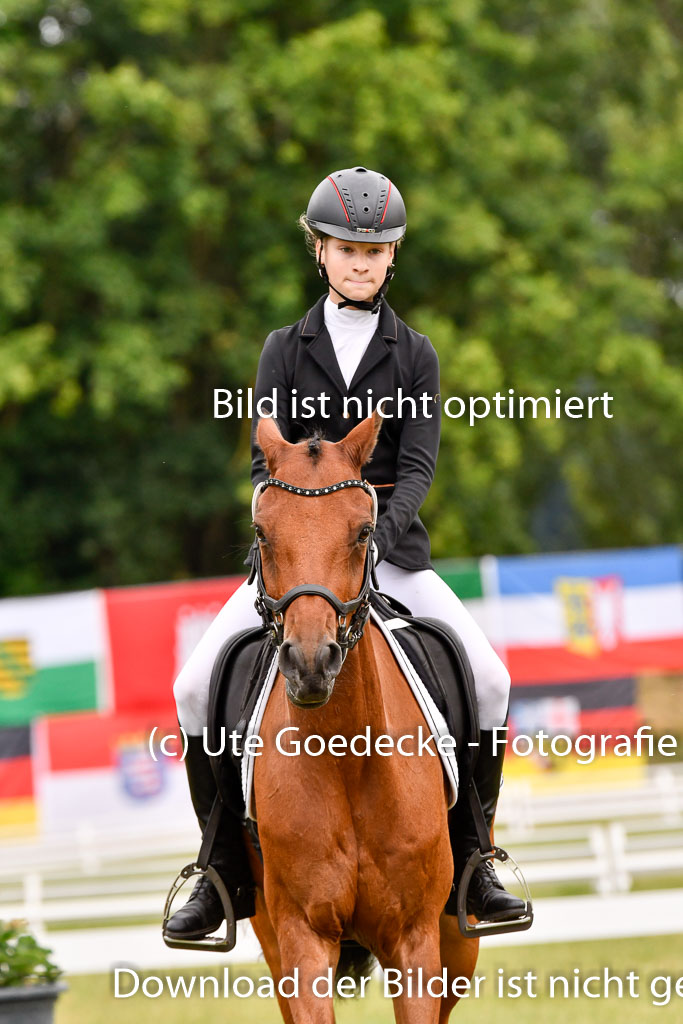 Goldene Schärpe Ponys in Hohenberg Krusemark 2024 | 12072024 Dressur _0500 