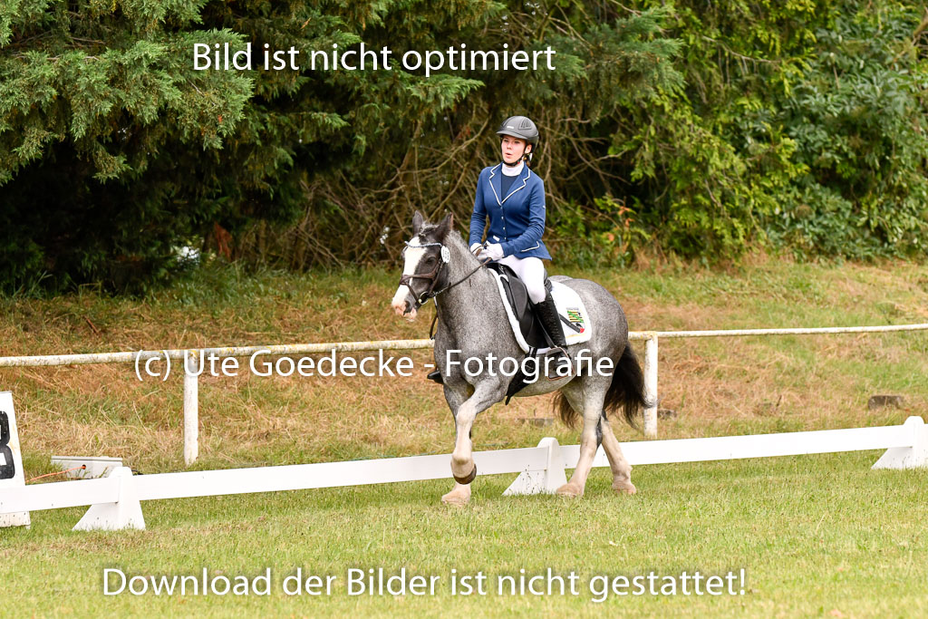 Goldene Schärpe Ponys in Hohenberg Krusemark 2024 | 12072024 Dressur _0501