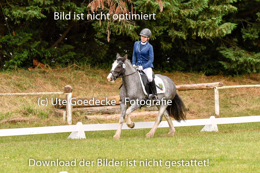 Goldene Schärpe Ponys in Hohenberg Krusemark 2024 | 12072024 Dressur _0502