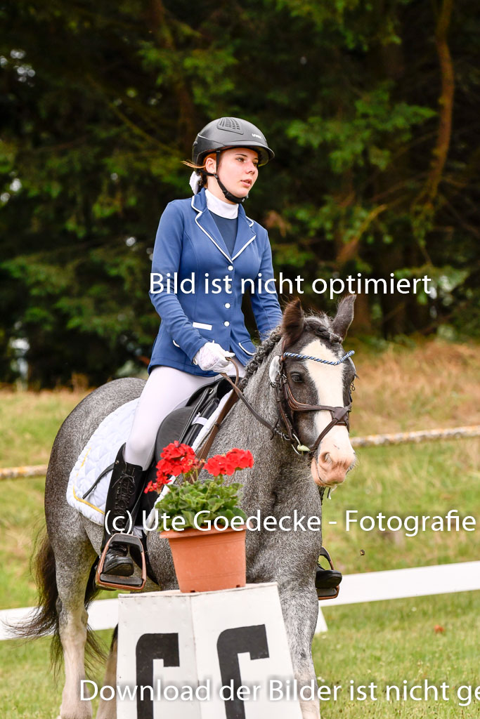 Goldene Schärpe Ponys in Hohenberg Krusemark 2024 | 12072024 Dressur _0504