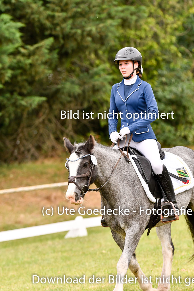 Goldene Schärpe Ponys in Hohenberg Krusemark 2024 | 12072024 Dressur _0506