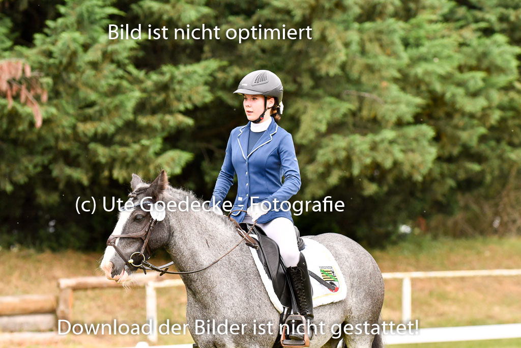 Goldene Schärpe Ponys in Hohenberg Krusemark 2024 | 12072024 Dressur _0507 