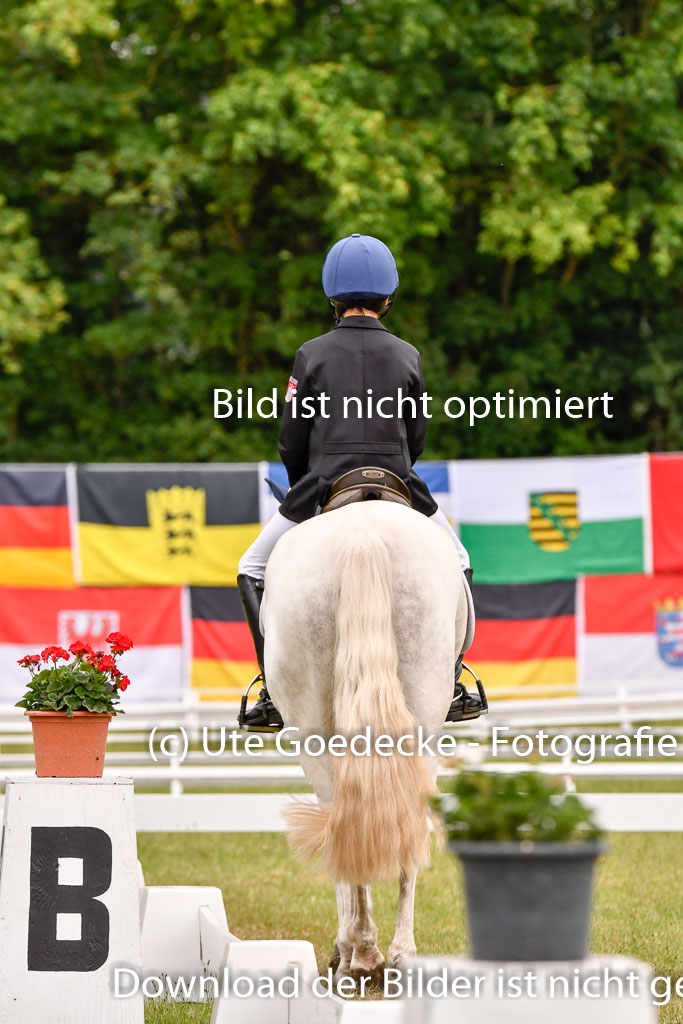 Goldene Schärpe Ponys in Hohenberg Krusemark 2024 | 12072024 Dressur _0509