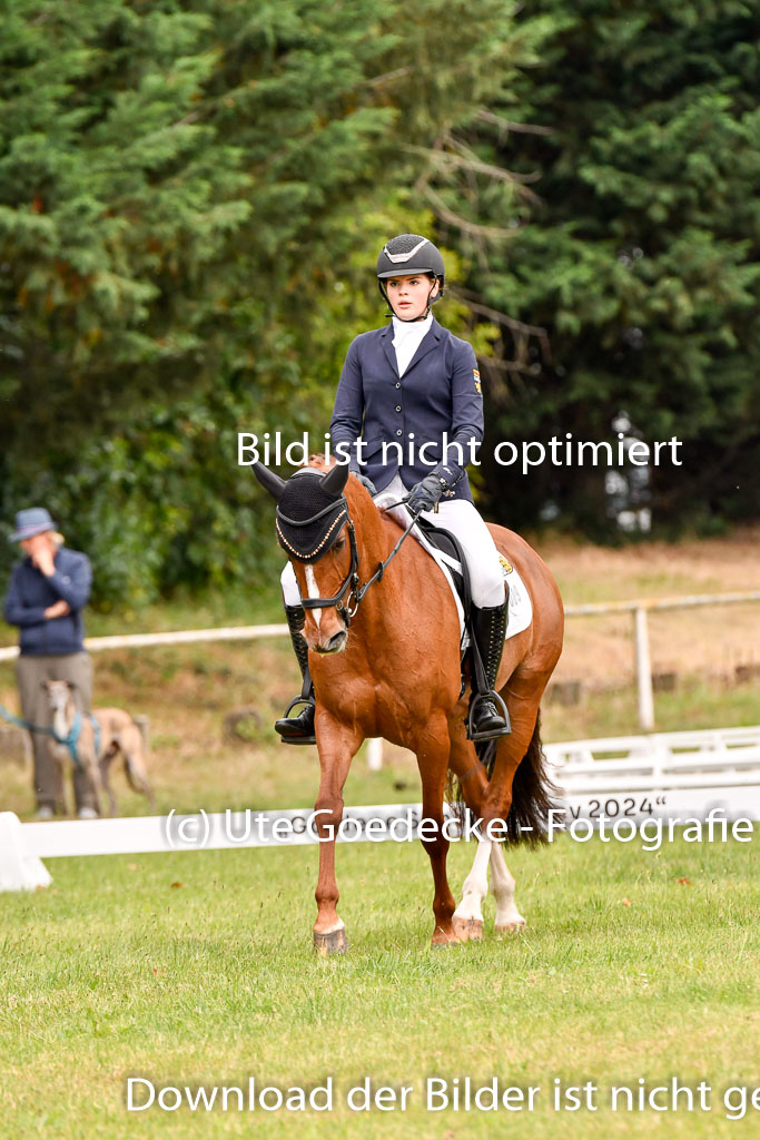 Goldene Schärpe Ponys in Hohenberg Krusemark 2024 | 12072024 Dressur _0510