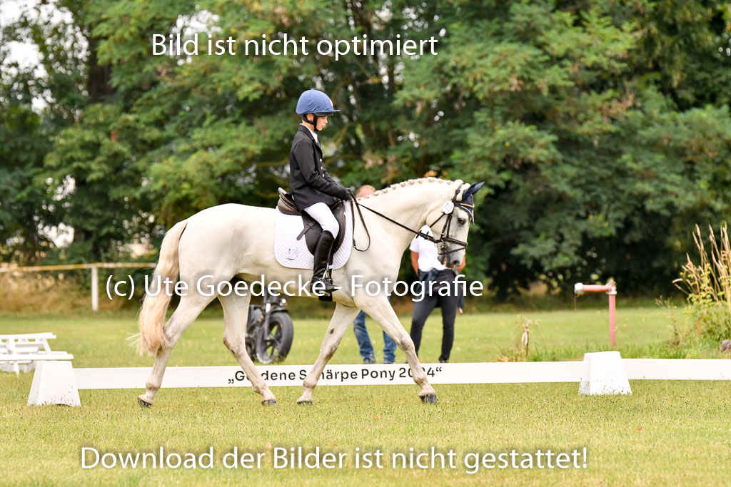 Goldene Schärpe Ponys in Hohenberg Krusemark 2024 | 12072024 Dressur _0511