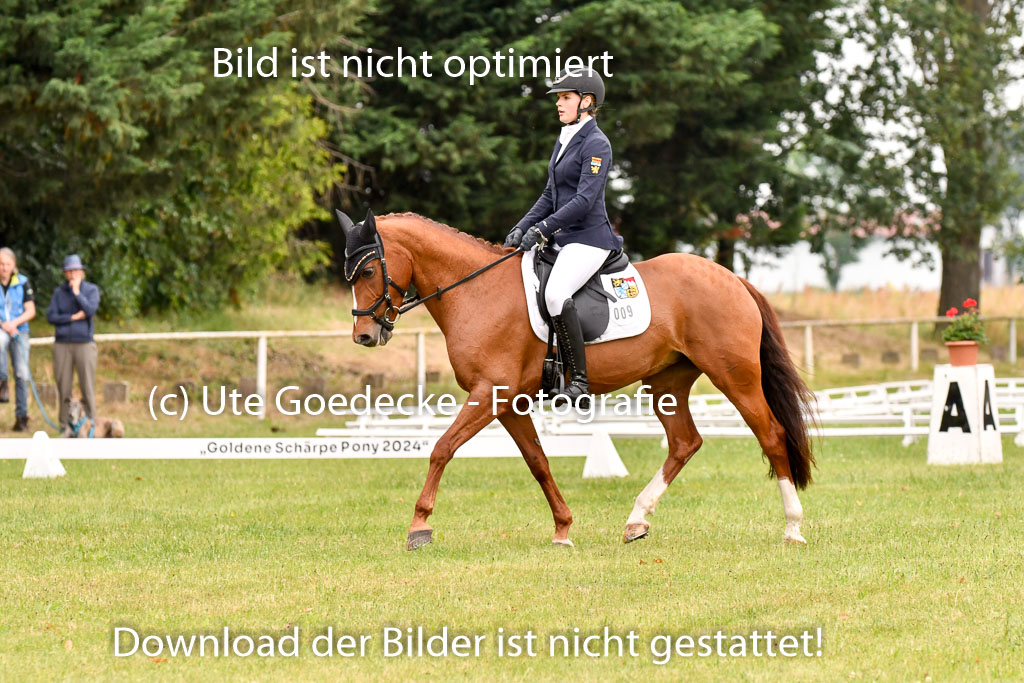 Goldene Schärpe Ponys in Hohenberg Krusemark 2024 | 12072024 Dressur _0512 