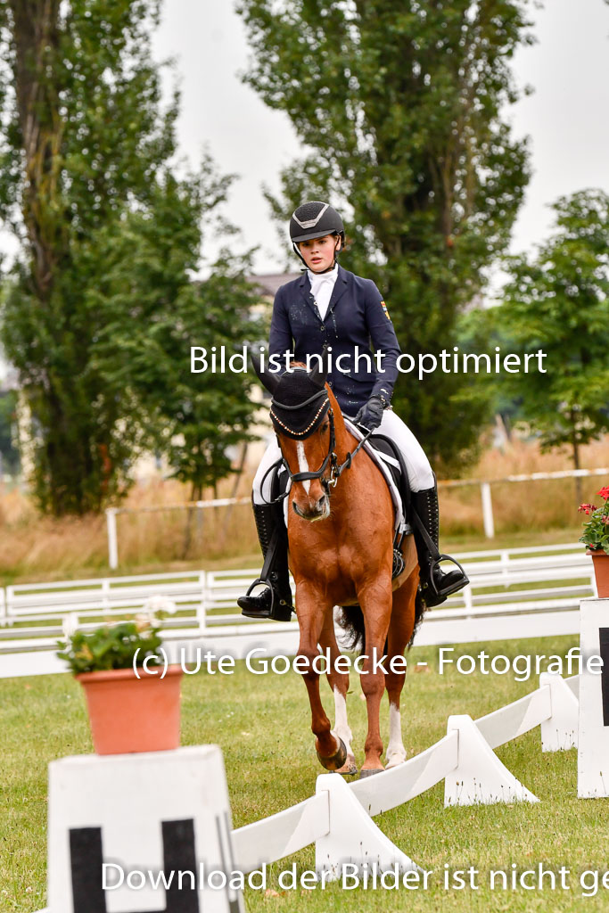 Goldene Schärpe Ponys in Hohenberg Krusemark 2024 | 12072024 Dressur _0519 