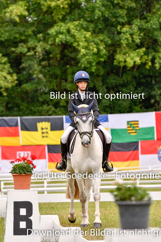 Goldene Schärpe Ponys in Hohenberg Krusemark 2024 | 12072024 Dressur _0520 